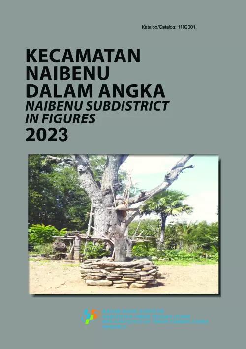 Kecamatan Naibenu Dalam Angka 2023